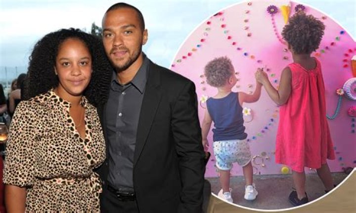 A Deep Dive Into The Jesse Williams And Vanessa Williams Nexus