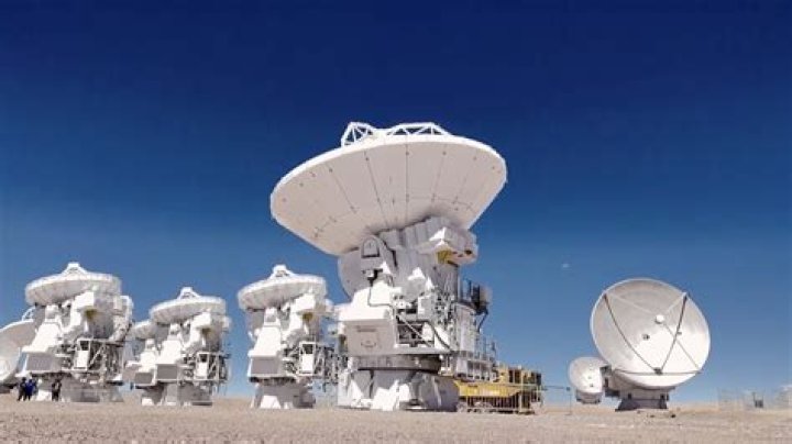 Unveiling The Secrets Of "Tracy T Height": Discoveries And Insights